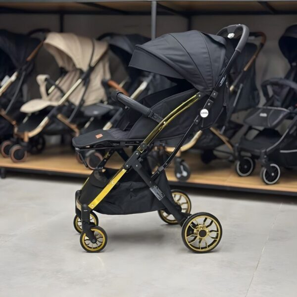 کالسکه مسافرتی آلومینیومی کودک ریچ کیدز مدل Baby 5 PRO - تصویر 3