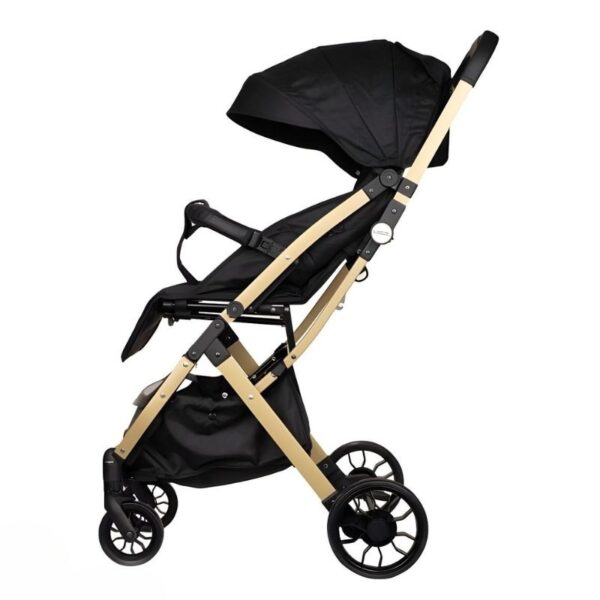 کالسکه مسافرتی آلومینیومی کودک ریچ کیدز مدل Baby 5 PRO - تصویر 2