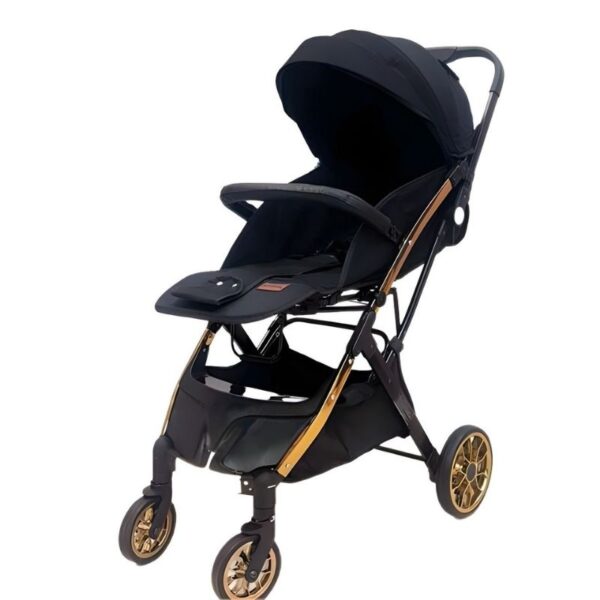 کالسکه مسافرتی آلومینیومی کودک ریچ کیدز مدل Baby 5 PRO